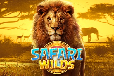 Safariwilds автомат Шафл Казино